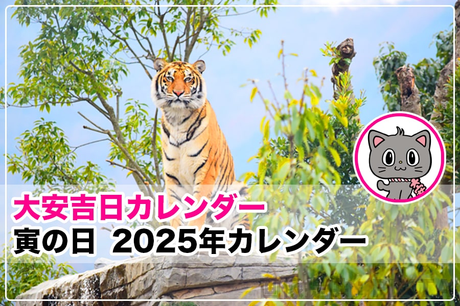 寅の日2025 全日付一覧ヘッダー