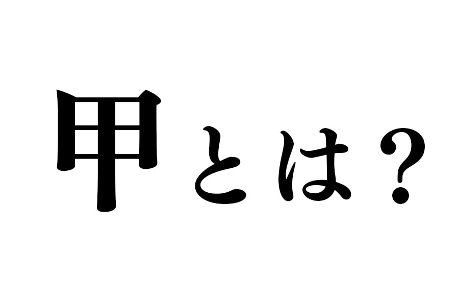 甲とは？